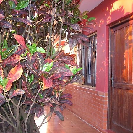 Alecrin Apart Puerto Iguazu Exterior photo